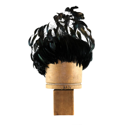 Black Coque Feather Explosion