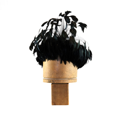 Black Coque Feather Explosion