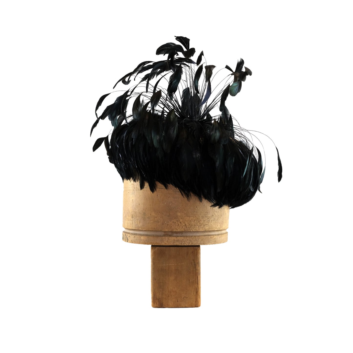 Black Coque Feather Explosion