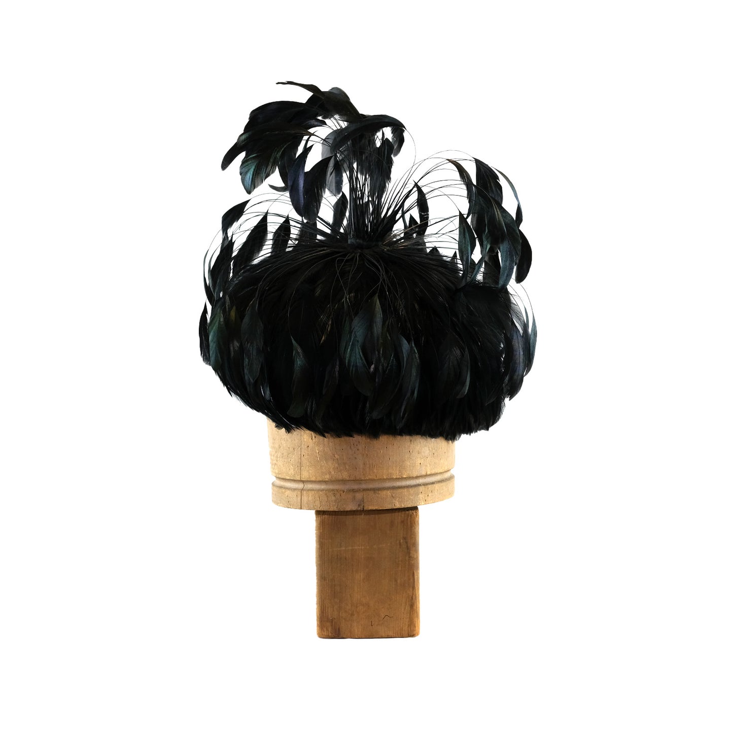 Black Coque Feather Explosion