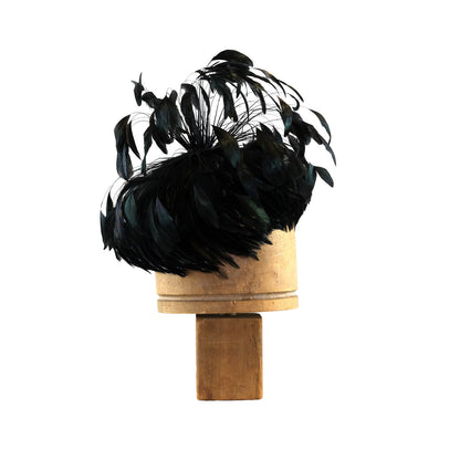 Black Coque Feather Explosion