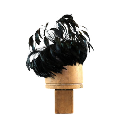 Black Coque Feather Explosion